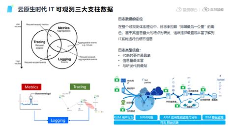 三大支柱